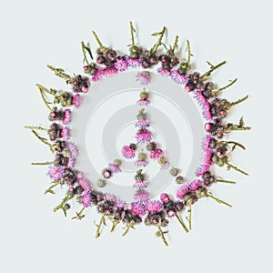 Peace sign Pacific-a symbol of peace, disarmament and anti-war movement, lined with delicate pink flowers