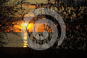 Peace sunset  beatch