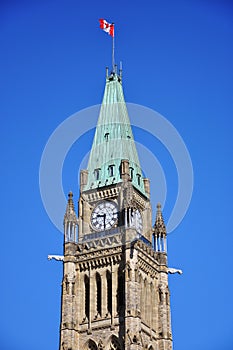 Peace Tower of Parliament Buildings, Ottawa