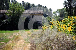 Peace and tranquility for the old house surrounded by nature near a field of sunflowers, Italy
