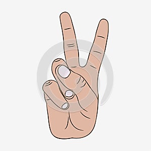 Peace and victory hand gesture sign. Vector.