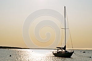 Peace on the waters of Cape Cod