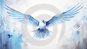 Peace white dove bird