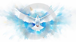 Peace white dove bird