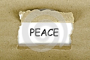 Peace word written in a paper frame