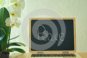 `Peace` written with white chalk on chalkboard, on the left a white orchid
