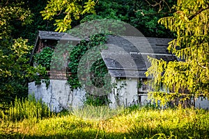 Peaceful abandoned old cottage at summer sunset in the woods