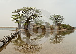 Peaceful african landscape near Sine Saloum, Senegal, Africa