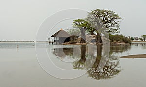 Peaceful african landscape near Sine Saloum, Senegal, Africa