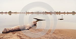 Peaceful african landscape near Sine Saloum, Senegal photo