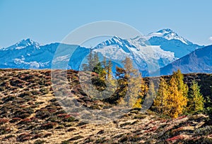 Peaceful autumn Alps mountain sunny view from hiking path from Dorfgastein to Paarseen lakes, Land Salzburg, Austria