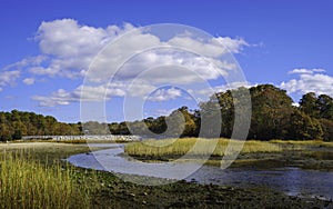 Peaceful Autumn Forest Landscape with White Clouds and River Flowing through Marsh on Cape Cod
