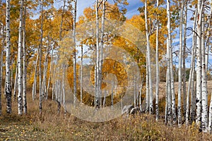 Peaceful autumn landscape with Apens