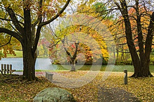 Peaceful Autumn View of Abbott Lake