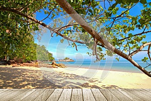 Peaceful beach background