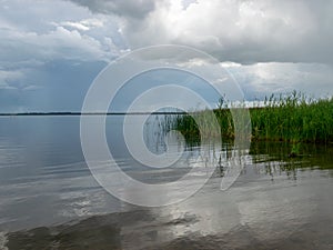 Peaceful beach dunegrass and storm clouds