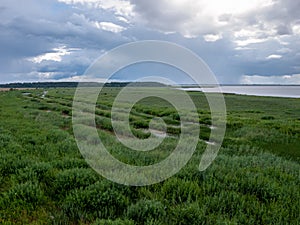 Peaceful beach dunegrass and storm clouds