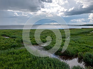 Peaceful beach dunegrass and storm clouds