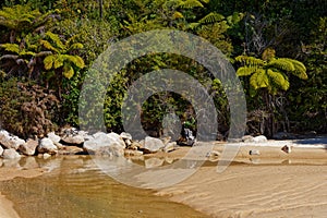 A peaceful beach scene, Abel Tasman National Park, New Zealand