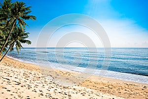 A peaceful beach scene in Thailand, exotic tropical beach landscapes and blue sea under a blue background. Relaxing summer holiday