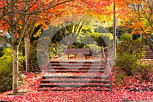 Peaceful bench