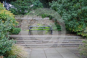 Peaceful bench in a garden