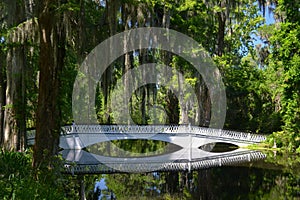 Peaceful bridge in Southern Swamp with Spanish Moss