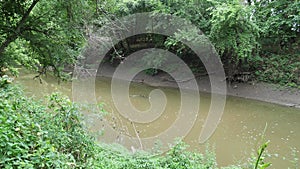 Peaceful Bull Creek Along Rock Stadium Trail