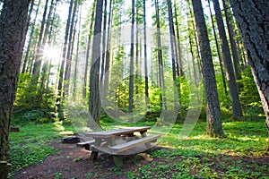 Peaceful campground or picnic spot photo