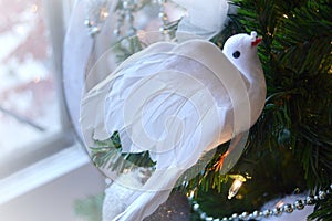 Peaceful Christmas Dove