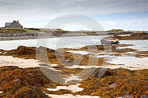 Peaceful Connemara Coastline