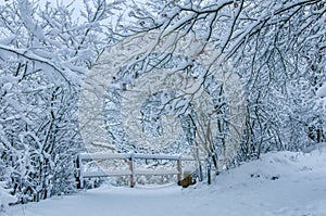 A peaceful corner with a fence in a snow covered forest of the Harz