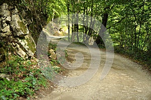 Peaceful countryside road in Cheile Nerei Natural Reservation