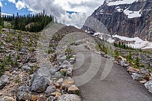 Peaceful creek along the Path of the Glacier Trail at Mount Edith Cavell in Jasper National Park