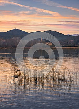 Peaceful Dawn at Banyoles Lake photo