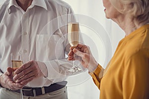 Peaceful elderly people feasting important event