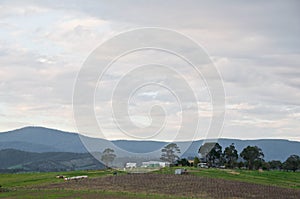 Peaceful evening scene of Yarra Valley countryside and mountainrange near Melbourne Australia photo