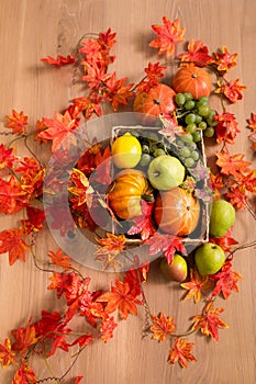 Peaceful Fall Fruit, Leaf, Acorn Still Life Arrangement on Wood Board Table Background with room or space for copy, text