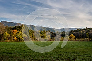 Peaceful Field With Layers of Trees and Mountains