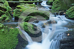 Peaceful flowing stream in the forest