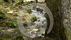 Peaceful forest landscape. A man is walking in background. Small river cascade falls over rocks