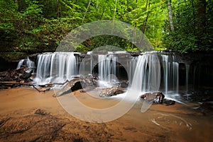 Peaceful Forest Waterfalls Landscape