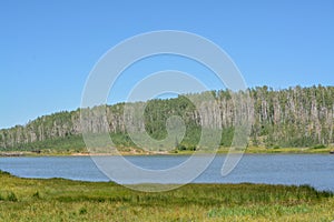 The peaceful Freeman Reservoir  below the mountainside of the Routt National Forests. In the Rocky mountains of Colorado photo