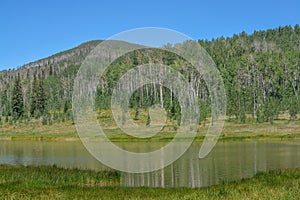 The peaceful Freeman Reservoir  below the mountainside of the Routt National Forests. In the Rocky mountains of Colorado photo