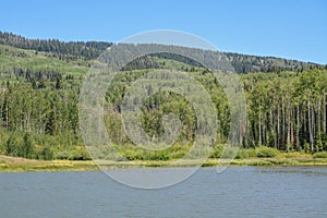 The peaceful Freeman Reservoir  below the mountainside of the Routt National Forests. In the Rocky mountains of Colorado photo