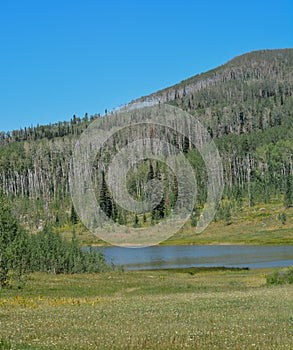 The peaceful Freeman Reservoir  below the mountainside of the Routt National Forests. In the Rocky mountains of Colorado photo