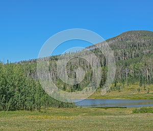 The peaceful Freeman Reservoir  below the mountainside of the Routt National Forests. In the Rocky mountains of Colorado photo