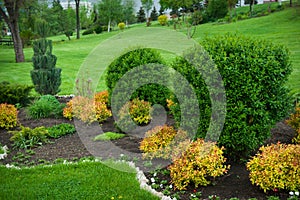 Peaceful Garden with a Freshly Mown Lawn