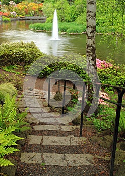 Peaceful garden pond