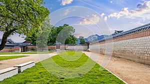 Peaceful grassy courtyard and traditional Korean wall at Gyeongbokgung Palace, with distant mountains, epitomizing historical